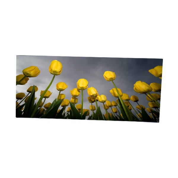 LM375QW 2- SSA 3 37. 5 اینچ مانیتور رایانه LCD 4K